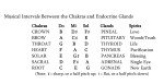 Musical Intervals between Chakras and Endocrines